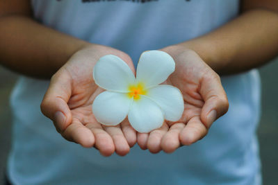 Close-up of hand holding white flower