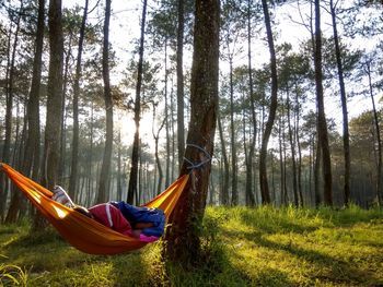 Close-up of person lying on hammock in forest