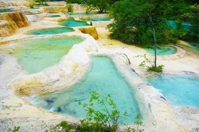 High angle view of river flowing through trees