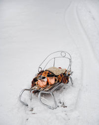 High angle view of crab on snow