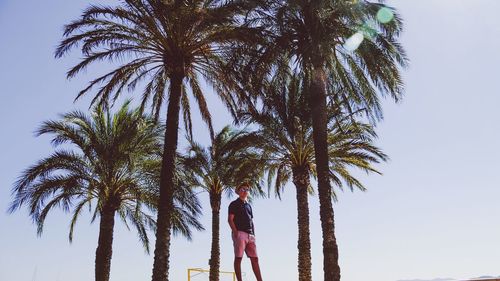 Low angle view of teenage boy standing amidst palm trees against clear sky