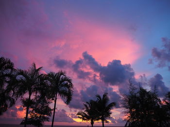 Low angle view of silhouette trees against sky during sunset