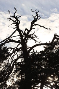 Low angle view of bare tree against cloudy sky
