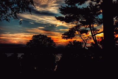 Silhouette trees on field against sky during sunset