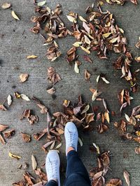 Low section of woman walking on fallen dry autumn leaves over footpath