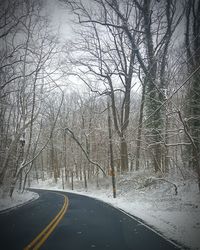 Road passing through bare trees