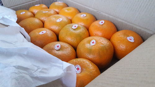 High angle view of orange fruits