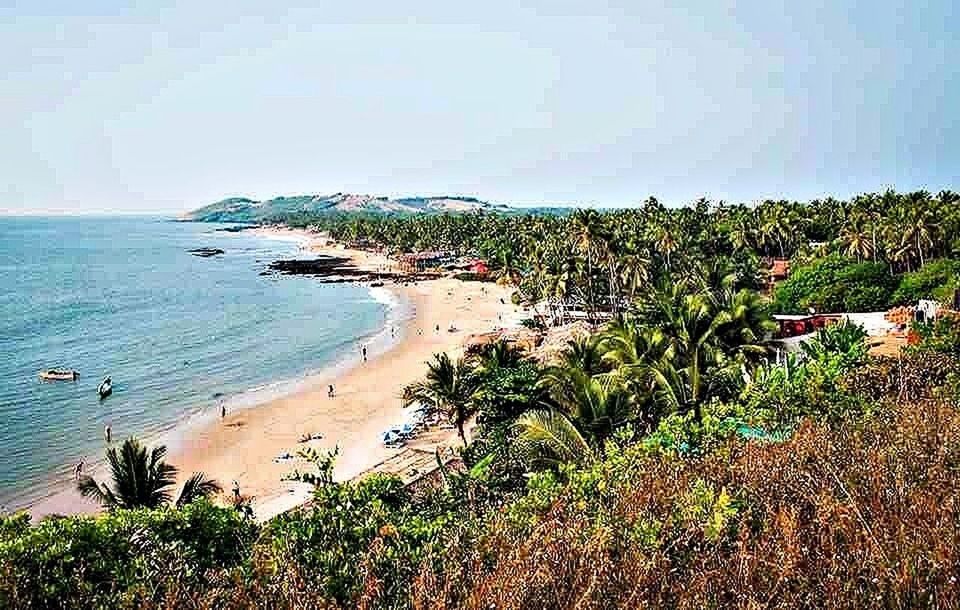 sea, beach, water, horizon over water, shore, sand, beauty in nature, tranquility, tranquil scene, scenics, nature, coastline, plant, sky, wave, growth, idyllic, high angle view, outdoors, day