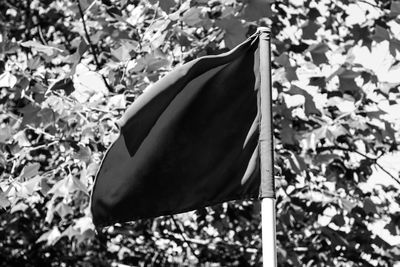 Low angle view of flag against trees