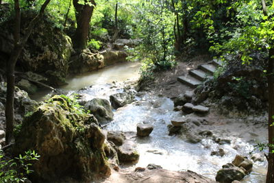 River flowing through rocks in forest