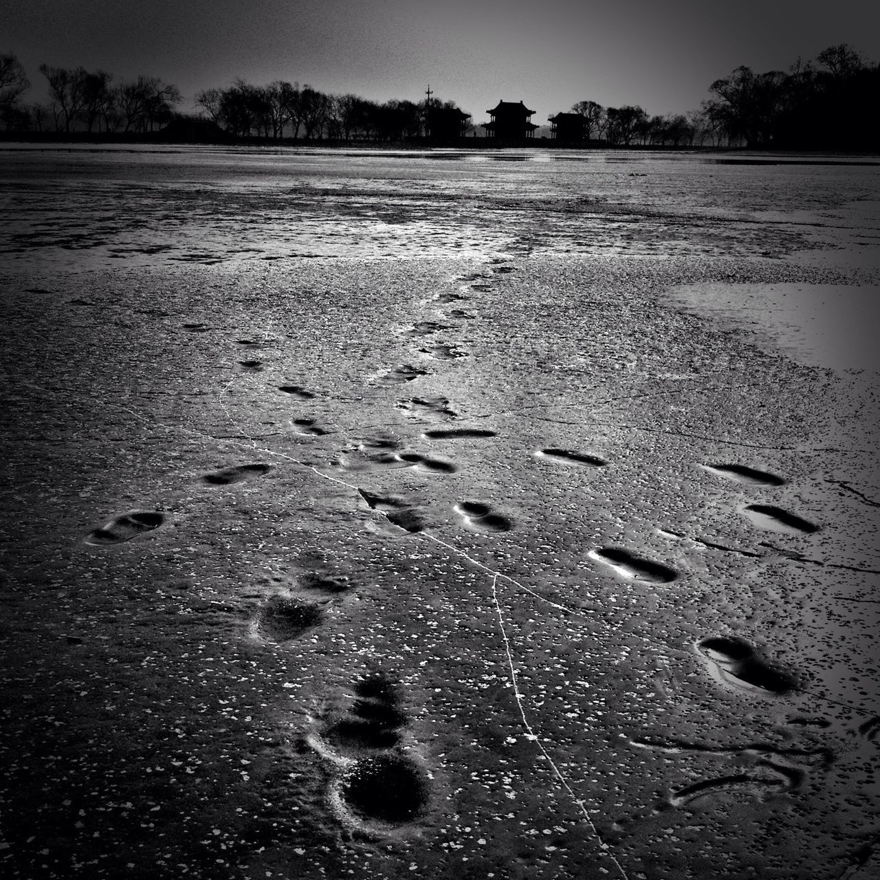 water, beach, sand, tranquility, surface level, nature, wet, tranquil scene, shore, tree, outdoors, no people, day, beauty in nature, sky, scenics, reflection, puddle, asphalt, stone - object