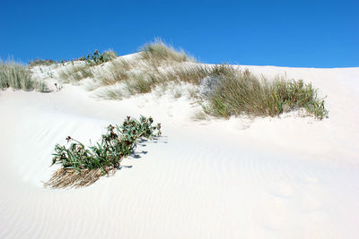 Scenic view of desert against clear blue sky