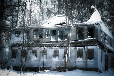 Snow covered houses by bare trees and building