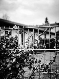 Barbed wire fence against sky