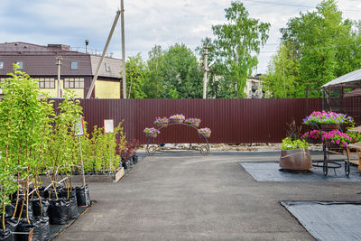 Potted plants and chairs against trees