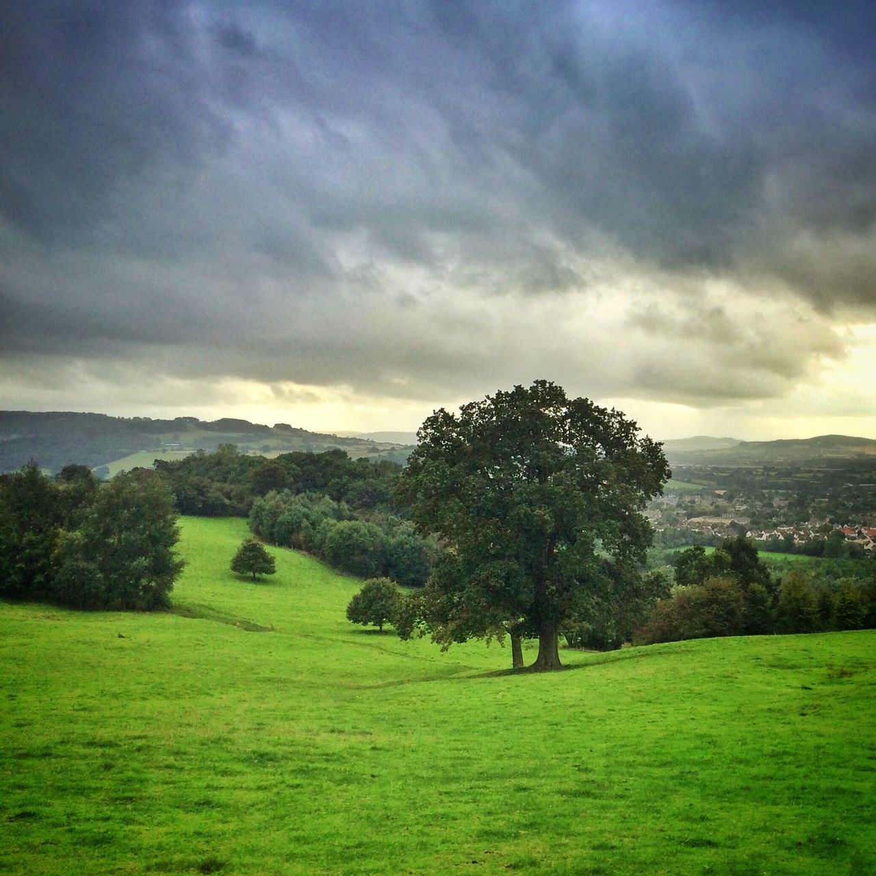 sky, landscape, tranquil scene, grass, tree, tranquility, scenics, cloud - sky, beauty in nature, green color, cloudy, nature, field, mountain, cloud, grassy, growth, non-urban scene, idyllic, hill