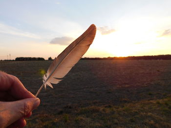 Person holding umbrella on land against sky during sunset