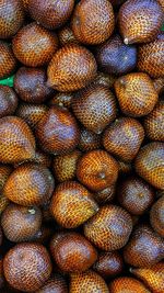 Salaka or famously known as snake-skin fruit is a tropical fruit known for its sweet and thick flesh
