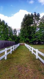 Footpath by trees against sky