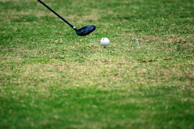 Golf equipment,golf ball with tee on course.