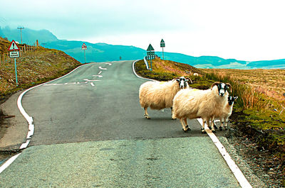 Road leading towards mountains