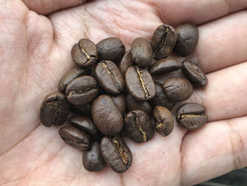 Close-up of hand holding coffee beans