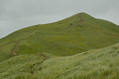 Scenic view of grassy meadow against sky