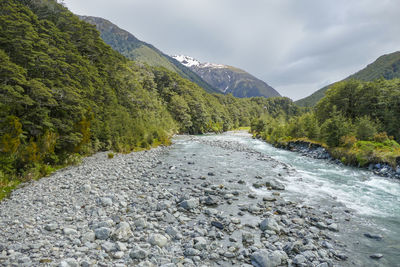 Scenery around bealey river in new zealand