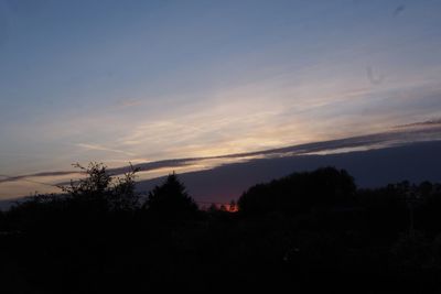 Silhouette trees against sky at sunset