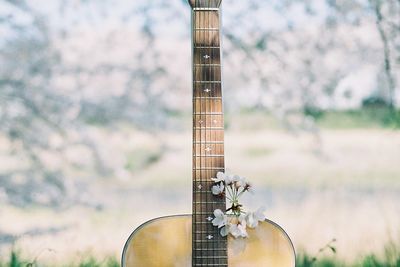 Close-up of guitar against plants