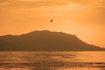 Silhouette birds flying over sea against orange sky