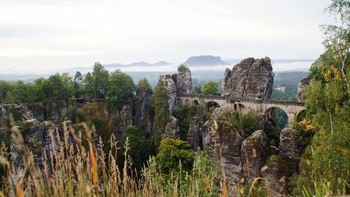 Panoramic view of trees on cliff against sky