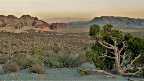 Scenic view of desert landscape against sky