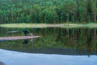 Scenic view of lake against trees in forest