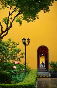 Street light by building against orange sky