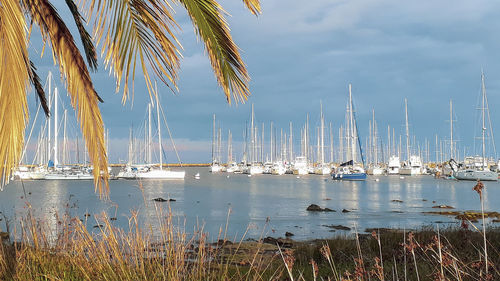 Sailboats moored in sea against sky