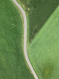 High angle view of field