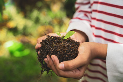 Midsection of person holding seedling in soil