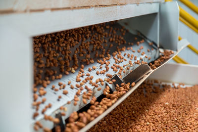 High angle view of roasted coffee beans