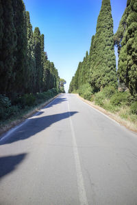 Road amidst trees against clear sky