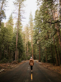 Rear view of woman walking on road amidst trees in forest