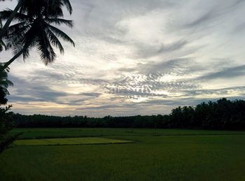 Scenic view of field against cloudy sky