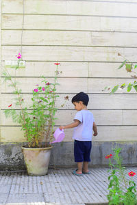 Full length of 2 year old boy standing on potted plant watering a flower