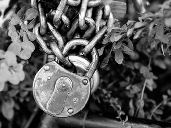 Close-up of padlocks on metal chain
