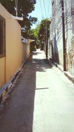 Empty alley amidst buildings in city