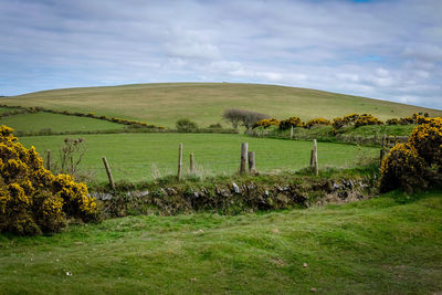 Scenic view of field against sky