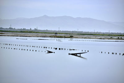 Flock of birds on lake against sky