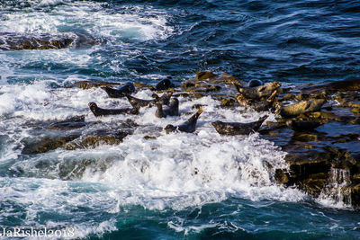 Scenic view of sea waves