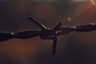 Close-up of hand on water against sky