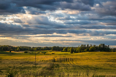 Scenic view of agricultural field against sky